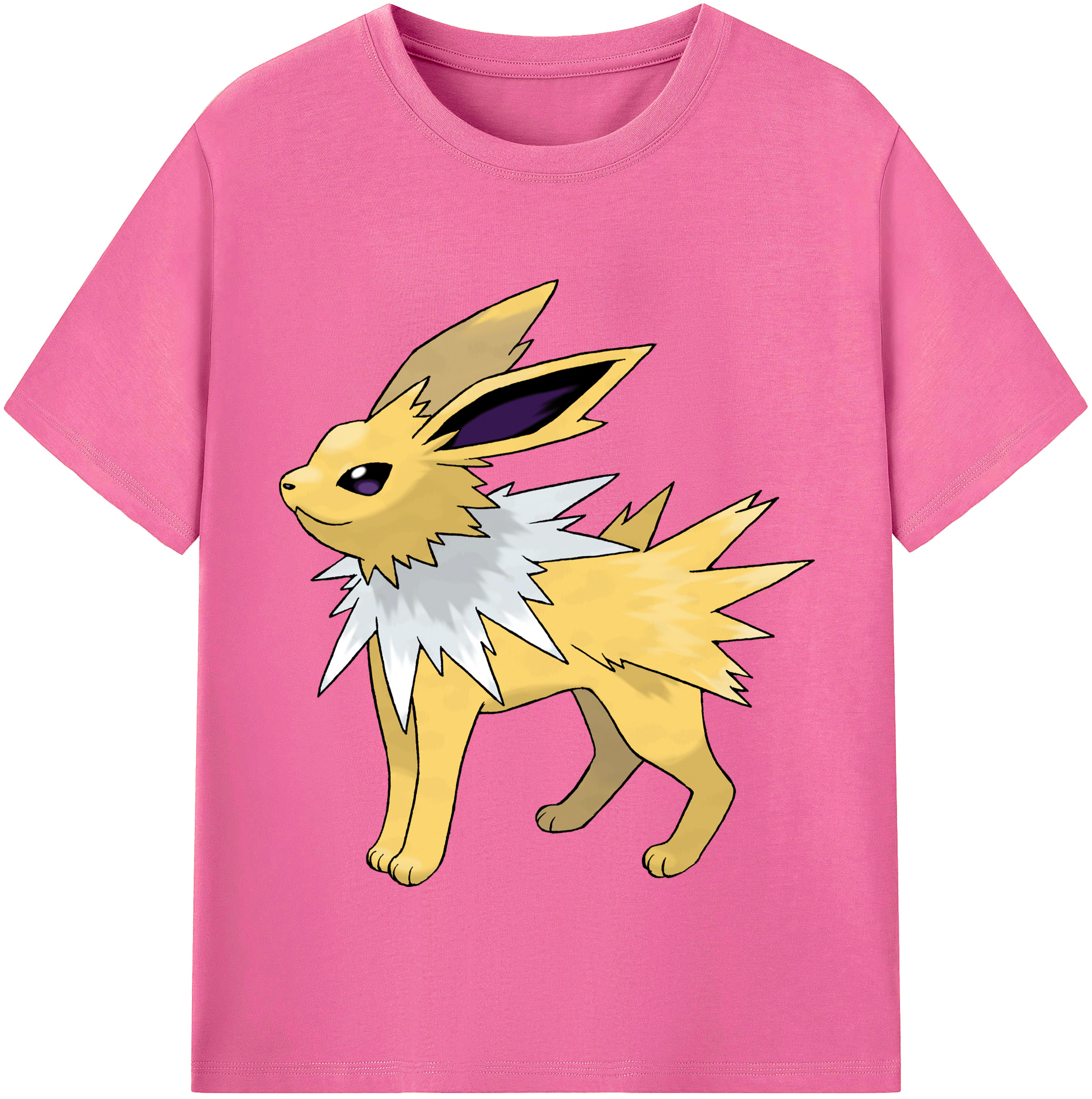 （画像用） ポケットモンスター Pokémon レディースカジュアルプリントTシャツ（綿100％）